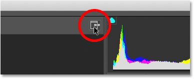 Umschalten des Camera Raw-Filters in den Vollbildmodus in Photoshop