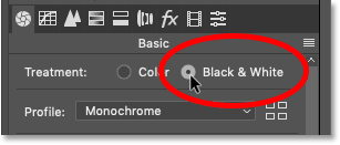 Setting the Treatment option in Photoshop's Camera Raw Filter to Black & White