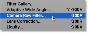 How to select the Camera Raw Filter in Photoshop