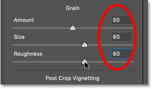 The Grain settings in the Effects panel in Photoshop's Camera Raw Filter