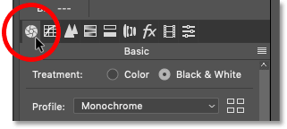 Ouvrir le panneau Basique dans le filtre Camera Raw de Photoshop's Camera Raw Filter