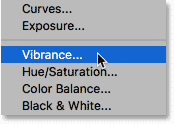 Adding a Vibrance adjustment layer to the pointillism document