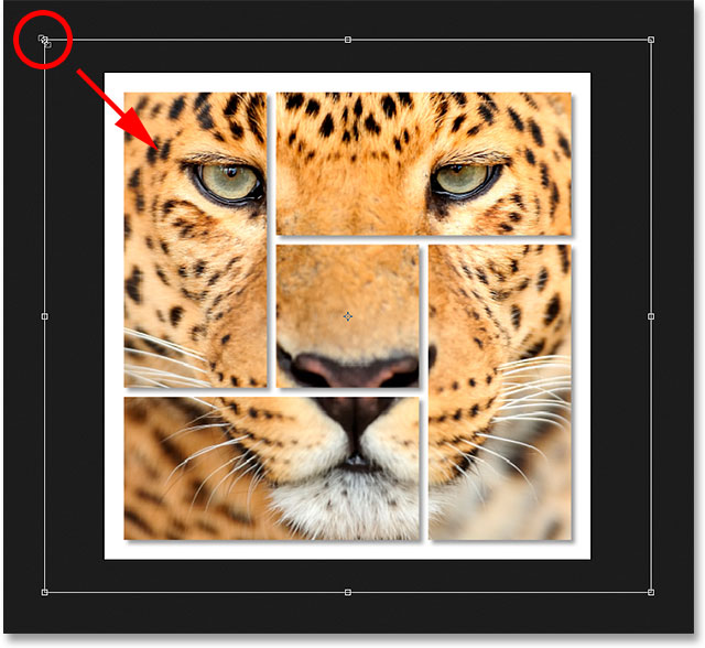 Resizing the photo inside the shapes using Free Transform. Image © 2015 Photoshop Essentials.com.