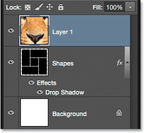 The photo appears on its own layer above the others. Image © 2015 Photoshop Essentials.com.