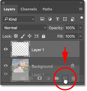 Dragging Layer 1 onto the New Layer icon. 