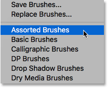 Selecting the Assorted Brushes set. 