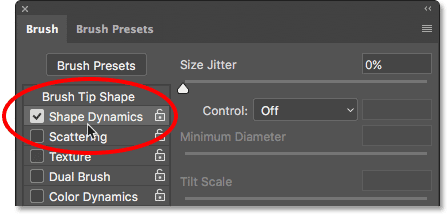 اختيار Shape Dynamics في لوحة Brush. 