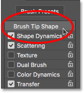 Clicking Brush Tip Shape. 