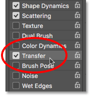 Selecting the Transfer brush control category. 