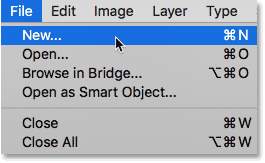 Selecting the New command from under the File menu. 