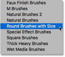 Choosing the Round Brushes with Size brush set. 