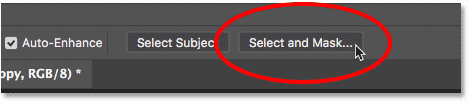 فتح مساحة العمل Select and Mask في Photoshop CC