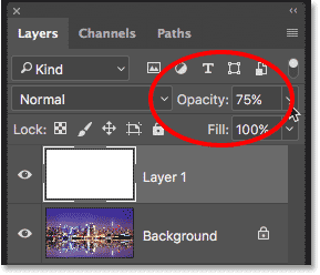 خيار عتامة طبقة Photoshop في لوحة Layers