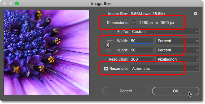 Resampling gambar hingga 50 persen dari ukuran aslinya di Photoshop