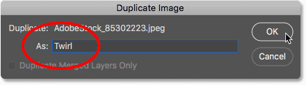 Naming the duplicate image 'Twirl'