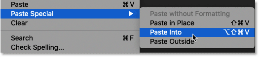 اختيار أمر Paste Into في Photoshop
