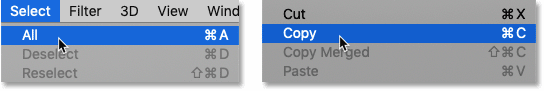 Selecting and copying the second image.