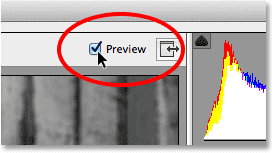 The Preview option in the Camera Raw dialog box.