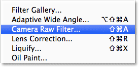 تحديد Camera Raw Filter في Photoshop CC.