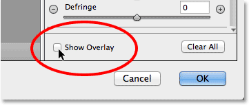 The Show Overlay option for the Radial Filter.