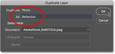 Naming the layer Reflection in the Duplicate Layer dialog box in Photoshop