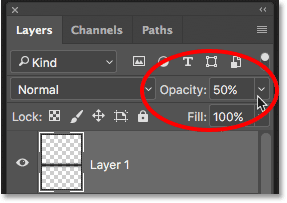 Lowering the layer opacity to fade the shadow into the water reflection