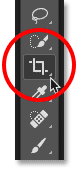 Selecting the Crop Tool from the Toolbar in Photoshop