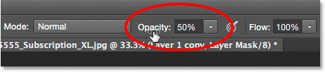 Lowering the Brush Tool opacity to 50 percent.