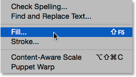 Selecting the Fill command from under the Edit menu.