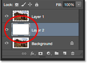 Selecting the Fill command from under the Edit menu.