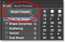 النقر فوق الزر Brush Presets في لوحة Brush.