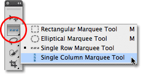 Photoshop Single Column Marquee Tool. Image © 2011 Photoshop Essentials.com.