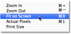 Photoshop Fit on Screen command.