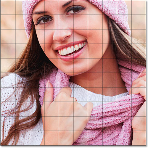 The photo has been pasted into the grid. Image © 2014 Photoshop Essentials.com.