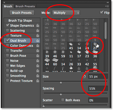 The Dual Brush options in the Brushes Panel in Photoshop. .