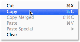 Selecting the Copy command from the Edit menu.
