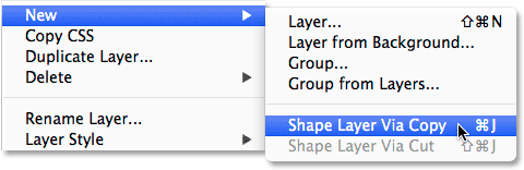 Selecting the New Shape Layer Via Copy command from the Layer menu.