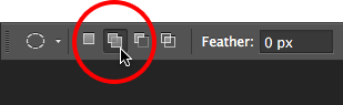 Clicking the Add to Selection icon in the Options Bar in Photoshop.