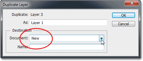 The Duplicate Layer dialog box in Photoshop CS6. Image © 2013 Photoshop Essentials.com