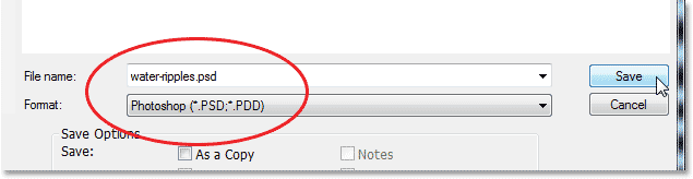 The Save As dialog box in Photoshop CS6. Image © 2013 Photoshop Essentials.com