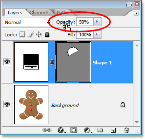 Adobe Photoshop tutorial image: Lowering the opacity of the shape layer to 50% in the Layers palette.