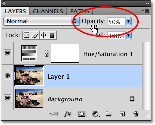 خيار Layer Opacity في لوحة Layers في Photoshop CS4.