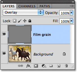 A new 'Film grain' layer has been added to the document.