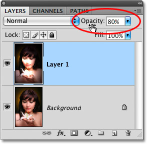 The Layer Opacity option in the Layers palette in Photoshop. Image © 2009 Photoshop Essentials.com.