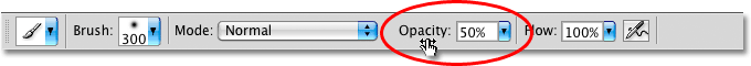The brush opacity option in the Options Bar in Photoshop. Image © 2008 Photoshop Essentials.com.