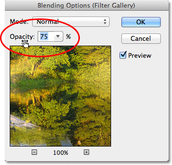 The Blending Options for the Smart Filter in Photoshop CS6.