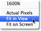 Selecting the Fit in View option in the Filter Gallery.