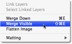 Selecting the Merge Visible command from the Layer menu. Image © 2009 Photoshop Essentials.com.