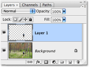 The selected area now appears on its own layer above the Background layer. Image © 2009 Photoshop Essentials.com.