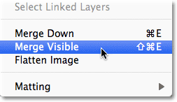 Photoshop merge visible layers command.